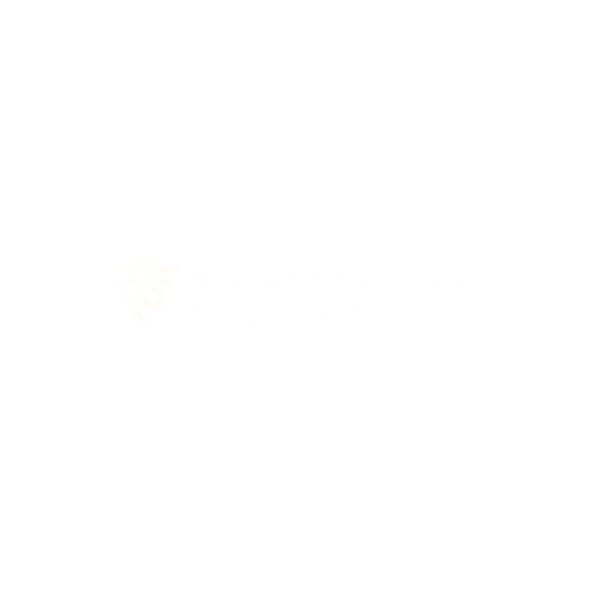 Bullwaves logo